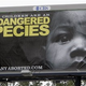 Illustration for article titled "A Wedge Into The African-American Community:" Pro-Choicers Fire Back On Abortion And Race